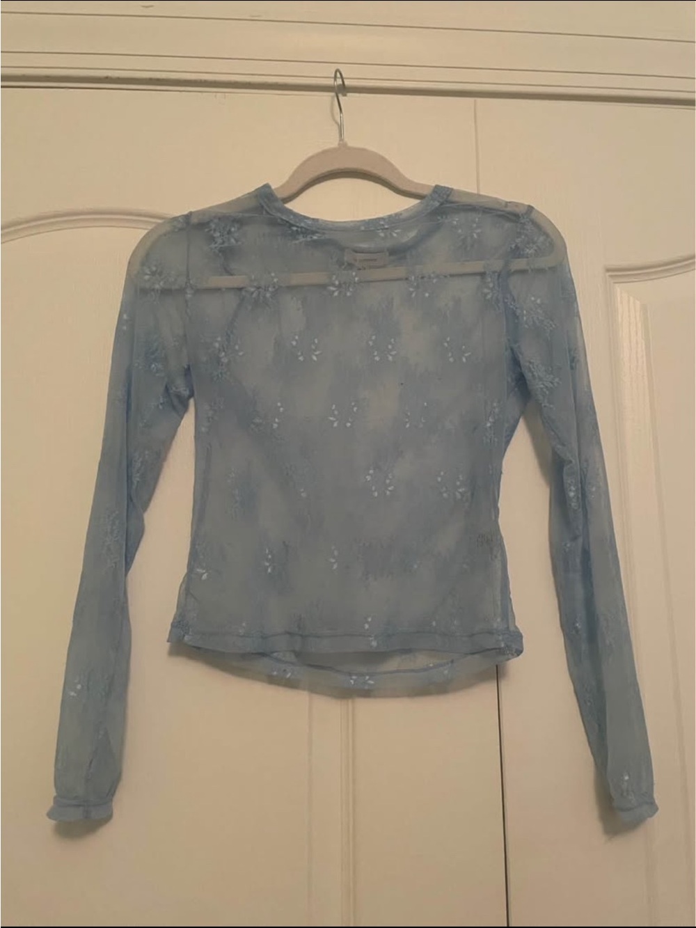 Sheer Embroidered Long-Sleeve Top in Light Blue